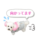 古川ぺこの日常スタンプ（個別スタンプ：19）