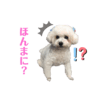 古川ぺこの日常スタンプ（個別スタンプ：22）