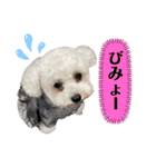 古川ぺこの日常スタンプ（個別スタンプ：27）