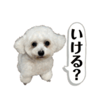 古川ぺこの日常スタンプ（個別スタンプ：30）