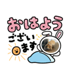 ピンシルの日常（個別スタンプ：1）