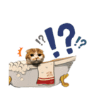ニャンダブルライフ（個別スタンプ：15）