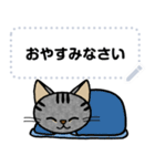 ねこのぽこちゃん メッセージ（個別スタンプ：23）