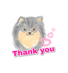 Beloved dog <Pomeranian>（個別スタンプ：1）