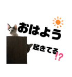 仕事用⑧（個別スタンプ：14）