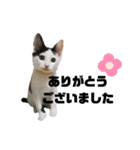 仕事用⑧（個別スタンプ：18）