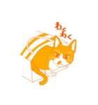 ハチワレ（オレンジ）（個別スタンプ：2）