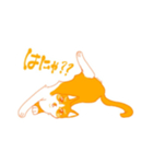 ハチワレ（オレンジ）（個別スタンプ：3）