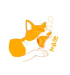 ハチワレ（オレンジ）（個別スタンプ：6）