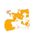 ハチワレ（オレンジ）（個別スタンプ：8）