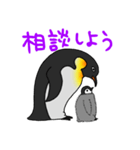 かっこいいコウテイペンギン（個別スタンプ：11）