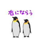 かっこいいコウテイペンギン（個別スタンプ：12）