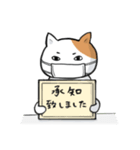 マスクねこ【挨拶・敬語】（個別スタンプ：4）