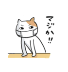 マスクねこ【挨拶・敬語】（個別スタンプ：29）