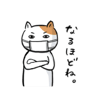 マスクねこ【挨拶・敬語】（個別スタンプ：36）