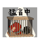志たあめやのたぬきケーキ2（個別スタンプ：11）