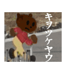 志たあめやのたぬきケーキ2（個別スタンプ：35）