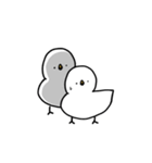 とり～普段使い用～（個別スタンプ：22）