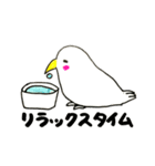 ナウいトリ（個別スタンプ：6）