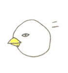 ナウいトリ（個別スタンプ：13）