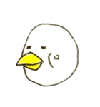 ナウいトリ（個別スタンプ：23）