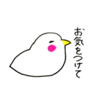 ナウいトリ（個別スタンプ：29）