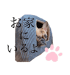 マロくんすたんぷ4（個別スタンプ：22）