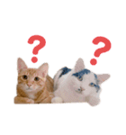 もてつのスタンプ！（個別スタンプ：5）