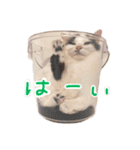 もてつのスタンプ！（個別スタンプ：6）