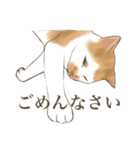 リアルにゃんこ〜日常会話〜（個別スタンプ：2）