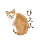 リアルにゃんこ〜日常会話〜（個別スタンプ：5）
