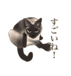 リアルにゃんこ〜日常会話〜（個別スタンプ：8）