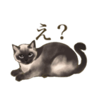 リアルにゃんこ〜日常会話〜（個別スタンプ：11）