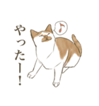 リアルにゃんこ〜日常会話〜（個別スタンプ：16）