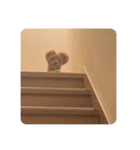 Orso,＆..Saku（個別スタンプ：5）