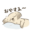 中川家のいぬたち（個別スタンプ：8）