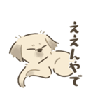 中川家のいぬたち（個別スタンプ：9）
