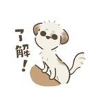 中川家のいぬたち（個別スタンプ：10）