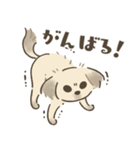 中川家のいぬたち（個別スタンプ：14）