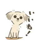 中川家のいぬたち（個別スタンプ：15）