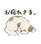 中川家のいぬたち（個別スタンプ：17）