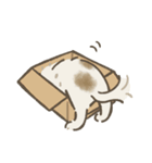 中川家のいぬたち（個別スタンプ：28）