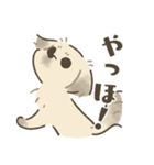 中川家のいぬたち（個別スタンプ：29）