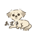 中川家のいぬたち（個別スタンプ：31）