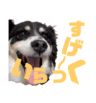 らぶぞぅs（個別スタンプ：8）