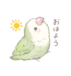 コザクラインコのあおちゃんとあもちゃん（個別スタンプ：1）