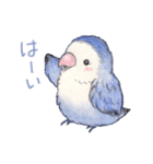 コザクラインコのあおちゃんとあもちゃん（個別スタンプ：10）