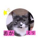 ガッシーねこーず2022年（個別スタンプ：29）