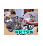 ガッシーねこーず2022年（個別スタンプ：32）