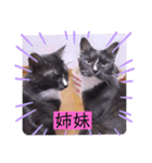 ガッシーねこーず2022年（個別スタンプ：34）